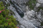 gal/diverses/Alp Mora/_thb_DSC07024.JPG